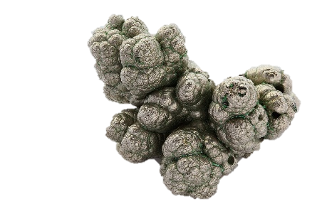 Raw nickel